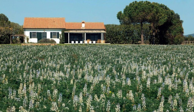 Cottage with views of Lake Burano