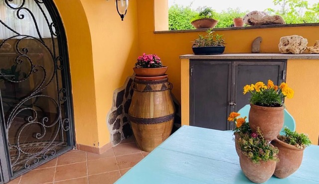 Cozy apartment surrounded by greenery a short distance from Lake Bracciano