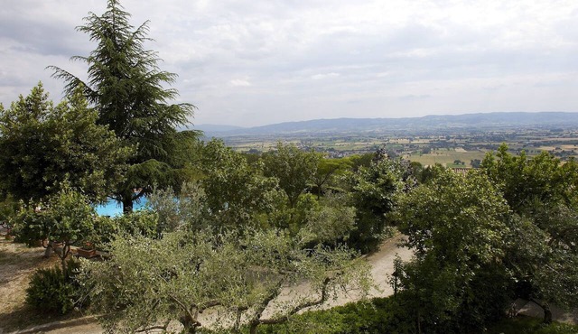 Da Angelo in Assisi