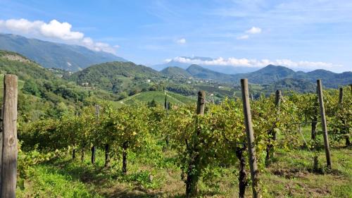 da Tony home B&B in Tarzo