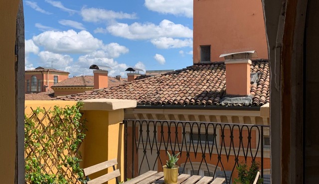 Domus Pioppa with Terrace in Modena