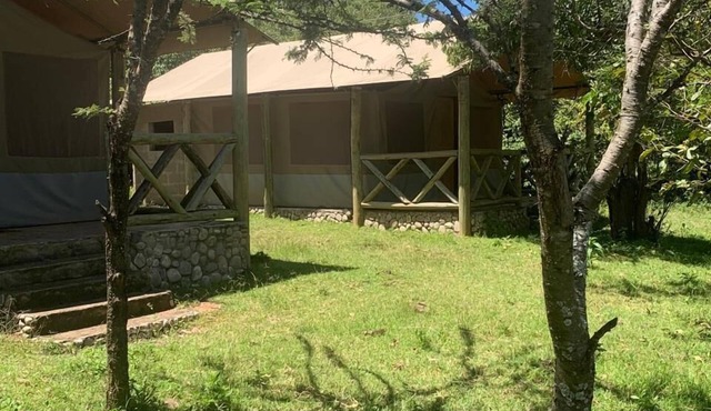 Eco mara forest camp in Meru