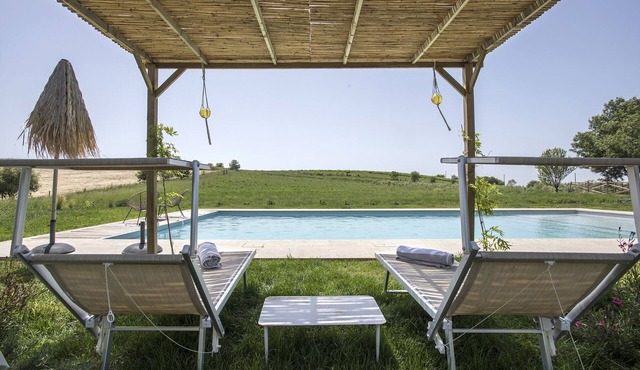 Enchanting Organic Lavender Farm with stunning pool