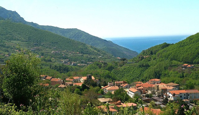 Farfalle E Gabbiani in Tramonti