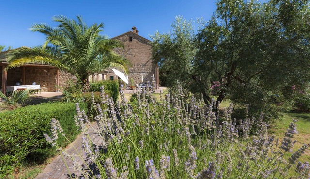 FRANTOIO -IL VECCHIO MULINO TOSCANA
