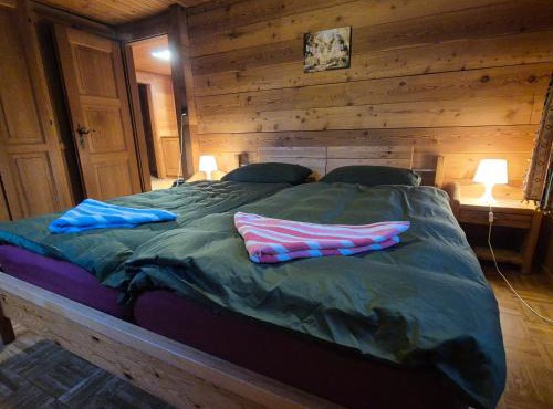 Gemütliches Walliser Chalet Nahe Aletschgebiet in Blitzingen