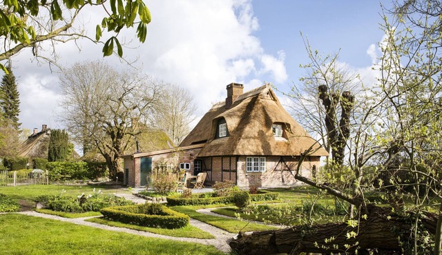 Gem under thatch with historic wood-burning stove and dreamlike garden in Damp