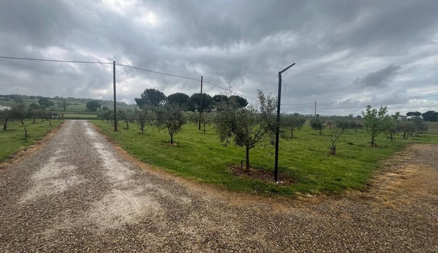 GUEST HOUSE SAN MAMANTE - APARTMENT "IRIS" in Emilia-Romagna