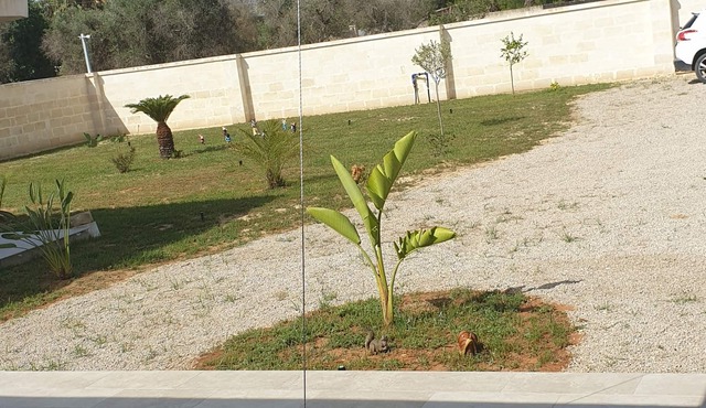 Holiday home 7km from the Salento beaches