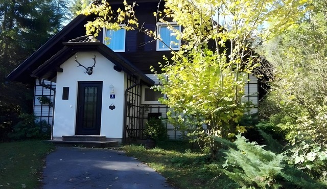 Holiday Home 'Roman' with Large Garden Directly on the River in Mitterstoder