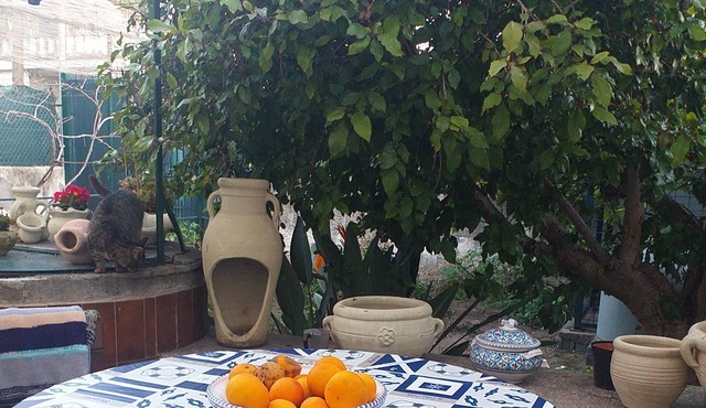Homerez - Beautiful apartment With sea view and garden
