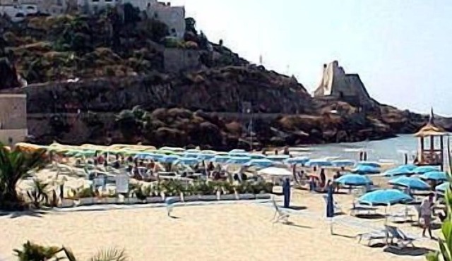 Hotel Mayor
