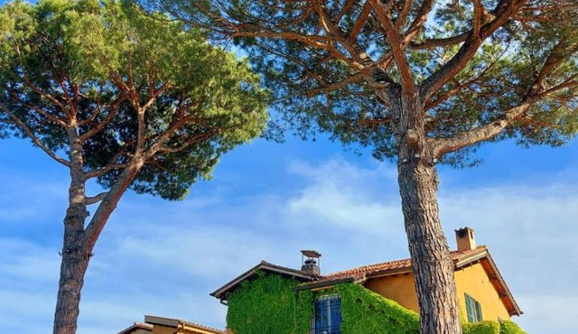 Hotel Selva Candida