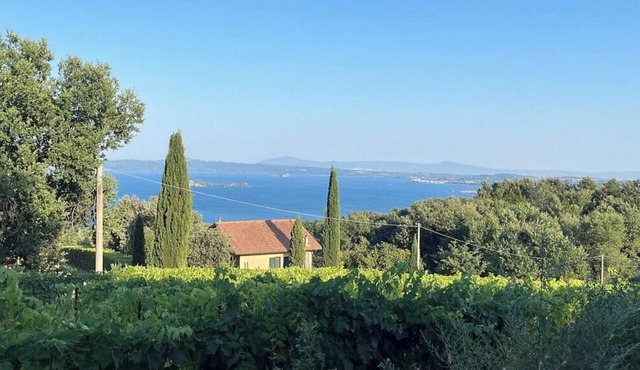 House among regenerative vineyards near Bolsena