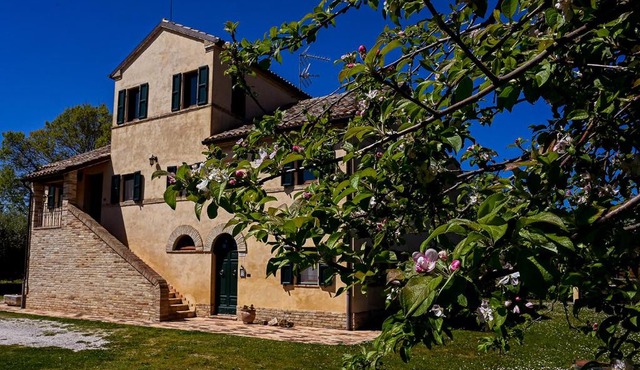 I Ciliegi in Osimo