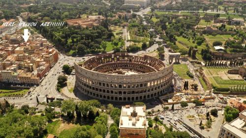 Il nido al Colosseo