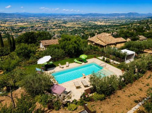 Il Paradiso tra Gli Ulivi