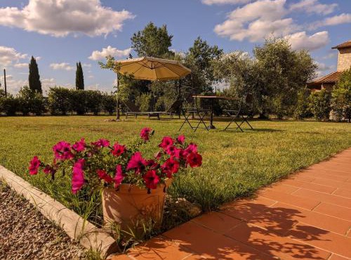 Il poggio più 'n giù in Volterra
