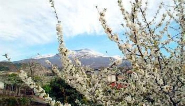 Il Vigneto - Bed & Breakfast