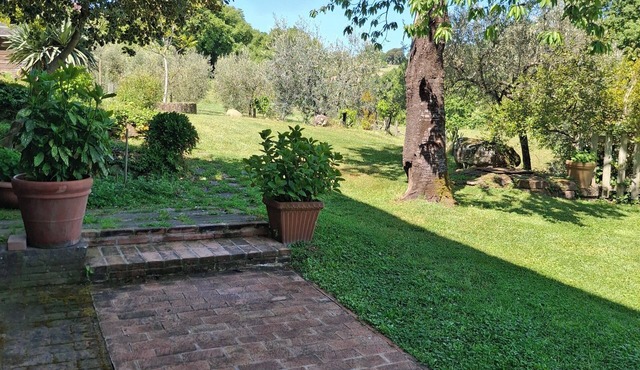 In the countryside in Montefiascone