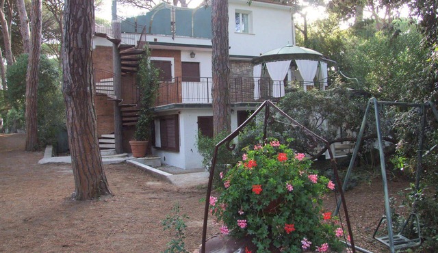 Camelia 2+2 - One Bedroom Apartment, Sleeps 4