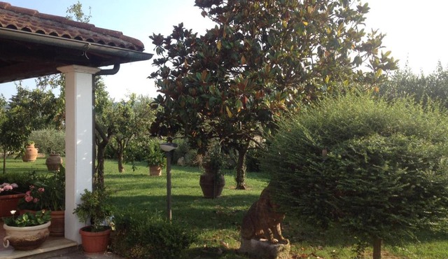 La Spiga