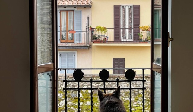 Large central apartment within walking distance from the sea