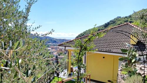 Le Drupe in Chiavari