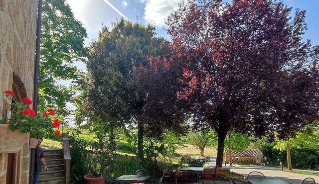 Living according to Nature, with comforts, 2 steps from the center & the highway
