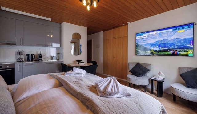 Luxury Davos Studio, Central, Near to Lifts in Davos Platz