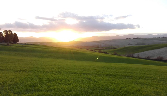 Mandriato Organic Farm in the Tuscan Hills