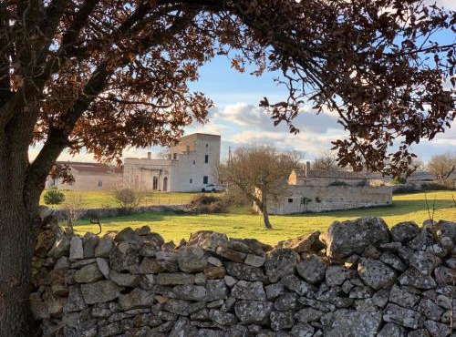 Masseria Contursi - Donna Camilla