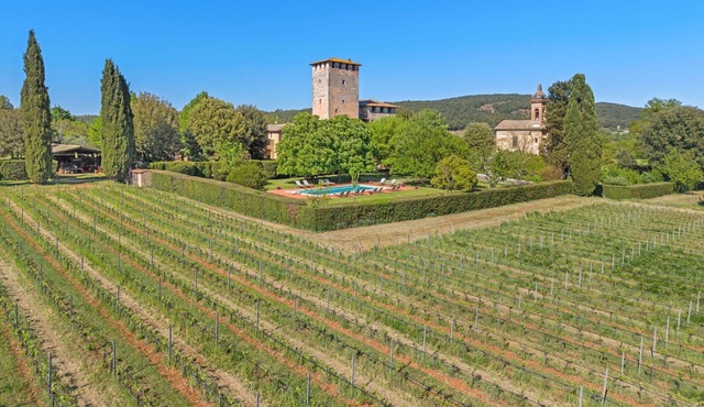 Medieval Castle Living: 20m Swimming Pool , Vineyards & Rustic Tuscan Charm