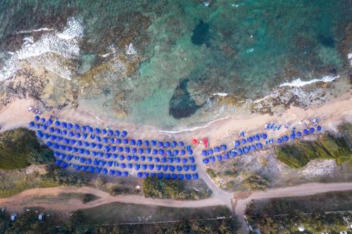 Meditur Puglia in Specchiolla