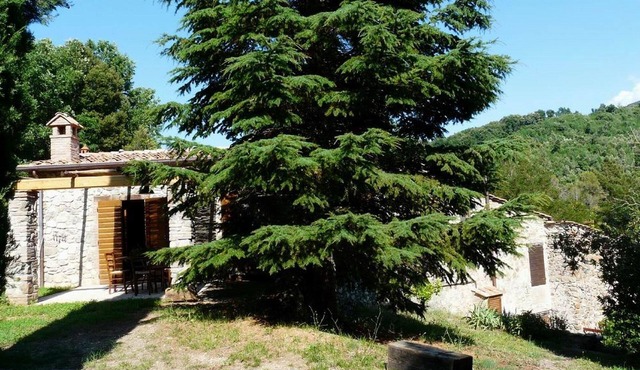 Molino Quadri 7