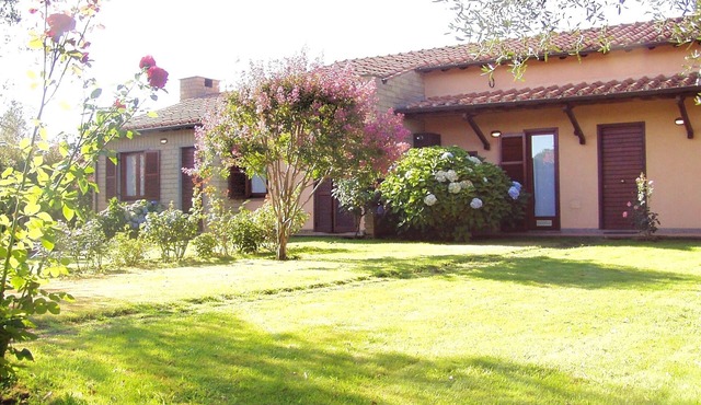 Montecasciano Mimosa