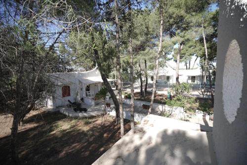 Nadia Village