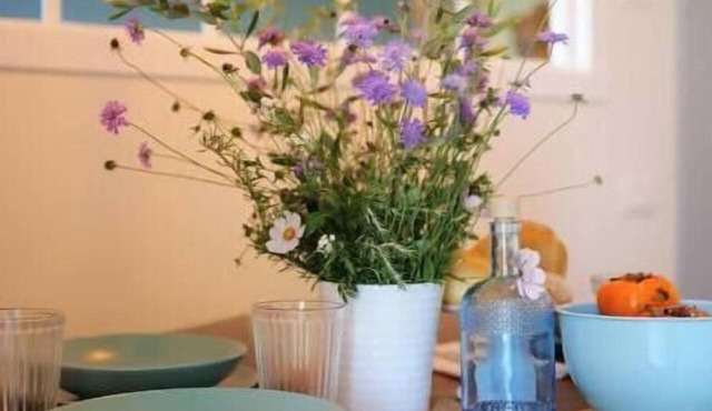 Oltrebosco Fior di Cicoria - Nature, Relaxation & Experiences in Umbria
