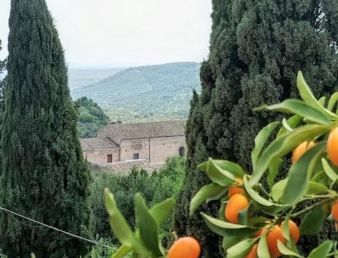 Orto dei Frati