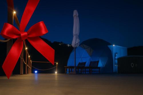 Palmaria Sky Bubbles Room