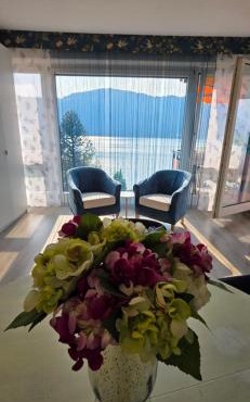 Panoramic View Frontal Apartment in Bissone