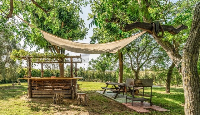 Podere Pala - Pet Friendly