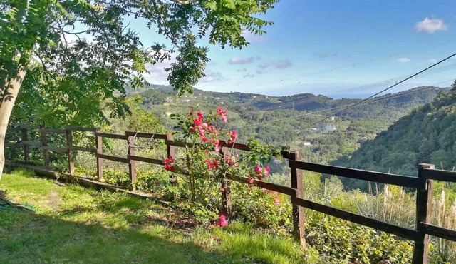Quiet, hilly location, apartment with a view of the sea in Toscana