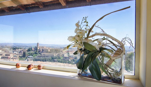 Rinidia Siena Centro in Siena