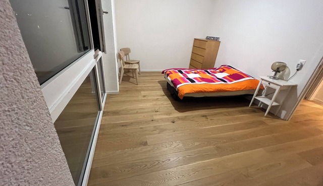 Spacious room/private bathroom/50m from the lake/fabulous view! Welcome! in Genève