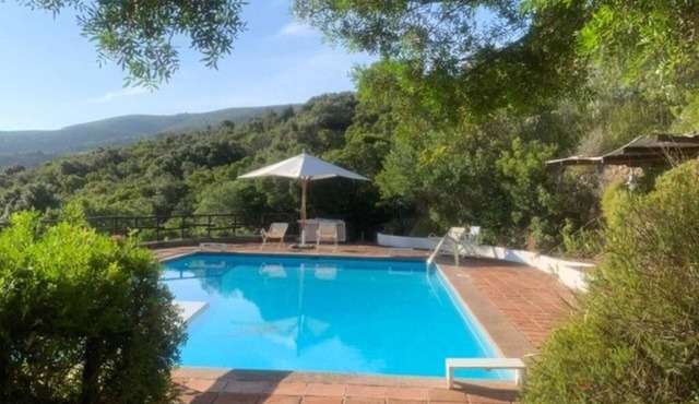 Splendid Villa surrounded by greenery with swimming pool.