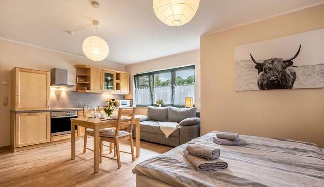 Studio Apartment 'Erzgebirge' with Private Garden and Wi-Fi in Grünhainichen
