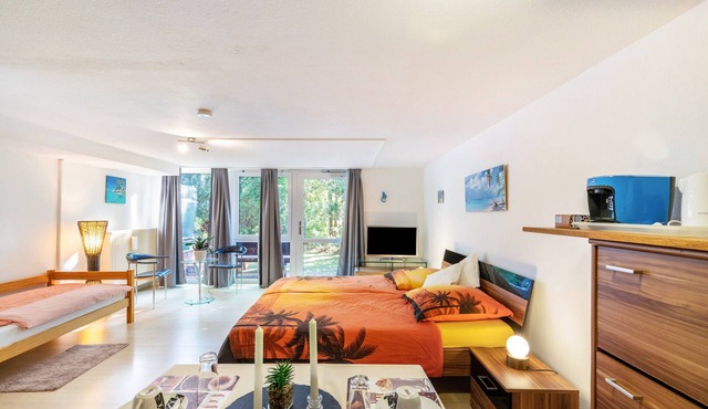 Studio Apartment 'Spessartruhe' with Shared Terrace and Wi-Fi in Linsengericht