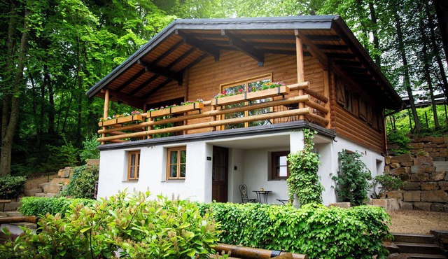 Teak - Holiday apartment with a view, pet-friendly with wellness area in Hersdorf
