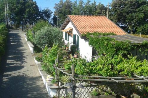 The Cottage in Agerola